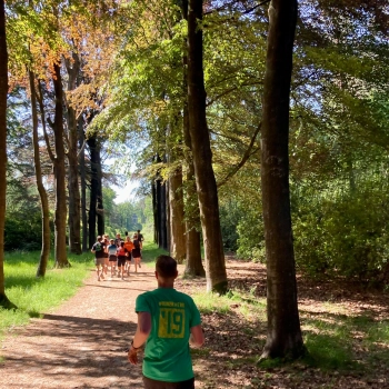 Trailrun juni