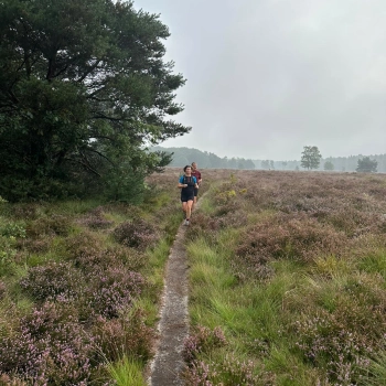 Trailrun juli