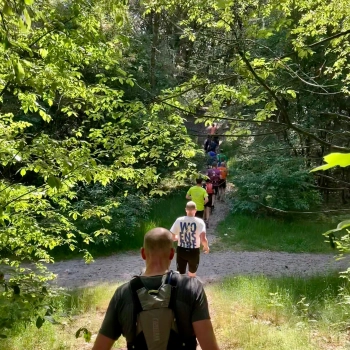 Trailrun aug