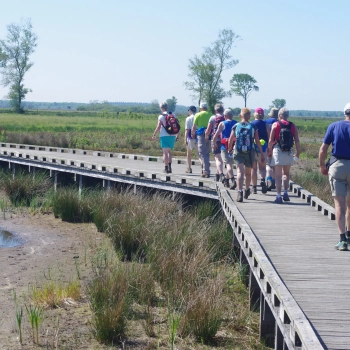 Wandeltochten