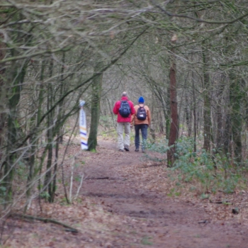 Trainingen Wandelen