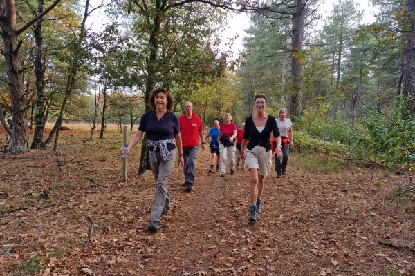 Wandelen